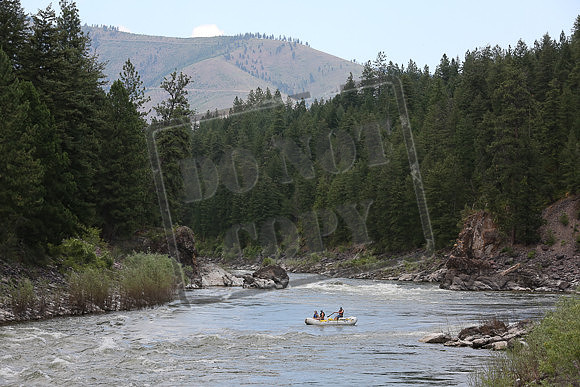 IMG_7300.jpg