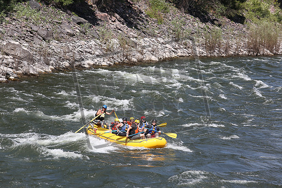 IMG_7667.jpg