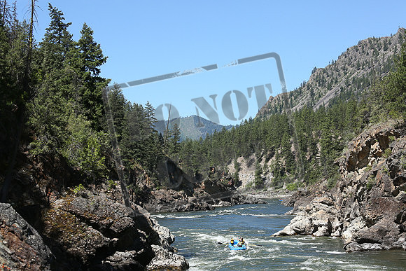 IMG_7972.jpg