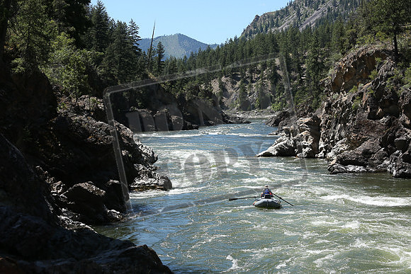 IMG_8755.jpg