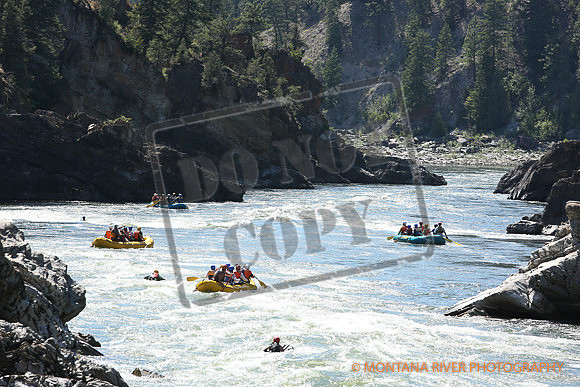 20170705-IMGL2469.jpg