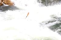 20110904-20110904-IMG_3368