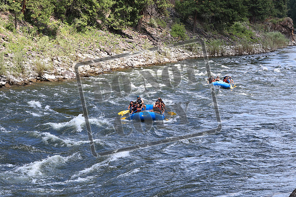 20220708-IMG_7330