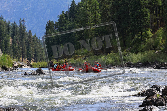 20230902-IMG_8843
