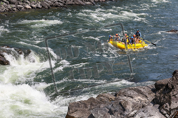 20240717-IMG_8725