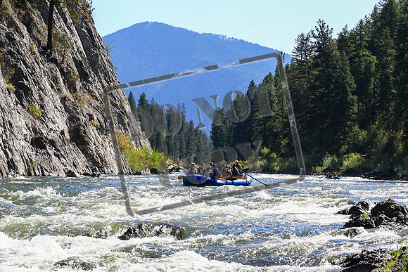 20230910-IMG_6833