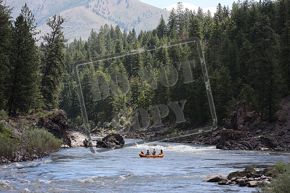 20210626-IMG_7713