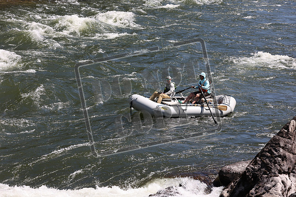 20210703-IMG_2894