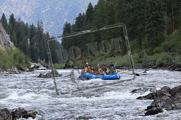 20220826-IMG_4503