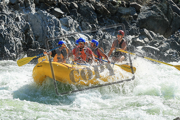 20250724-IMG_9643
