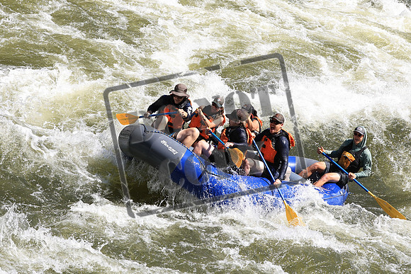 20220709-IMG_8800