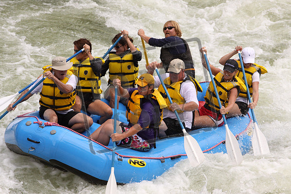 262