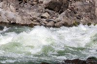 20240727-IMG_8156