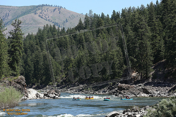 20180719-IMG_1330