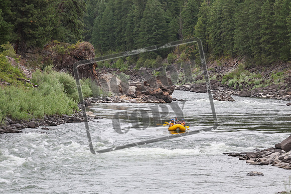 20240714-IMG_3909