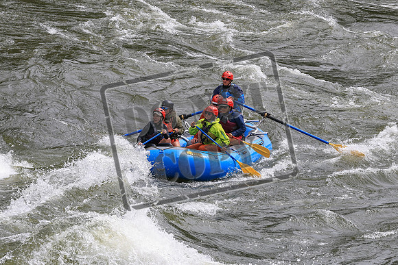 20250606-IMG_0526