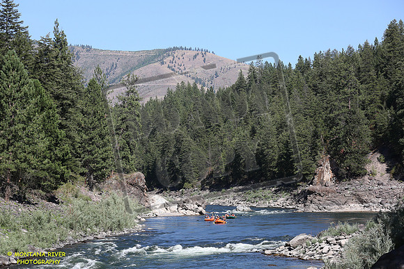 20180812-IMG_1491