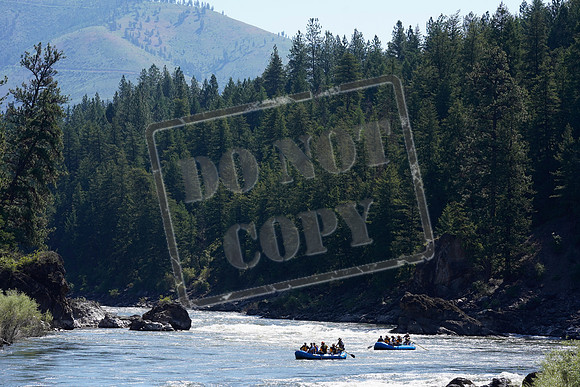 20220702-_NSP3616
