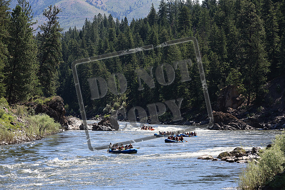 20220709-IMG_8355