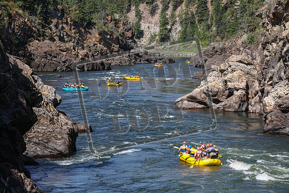 20240705-IMG_7816