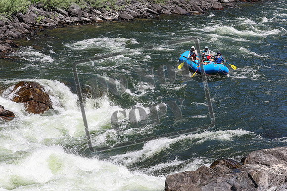 20240713-IMG_8522