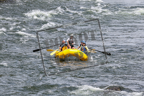 20240702-IMG_2605