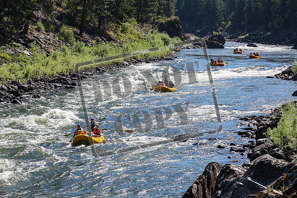 20240707-IMG_4228