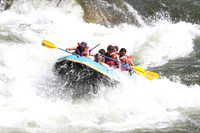 Zoo Town Surfers