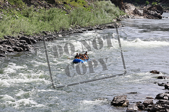 20220802-IMG_5101