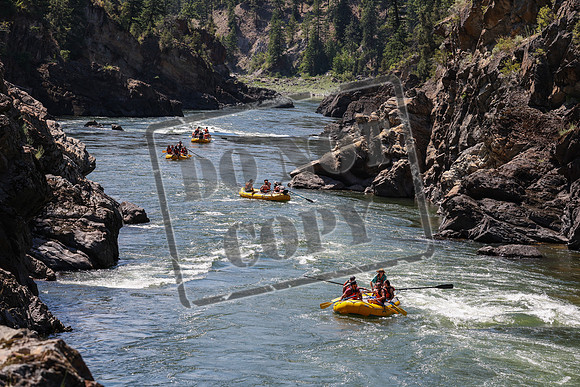 20240708-IMG_8088