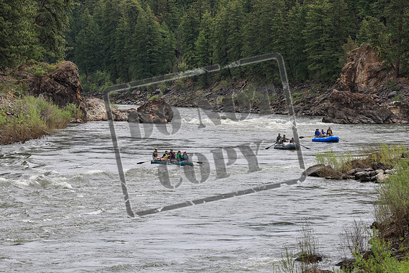 20250606-IMG_0625