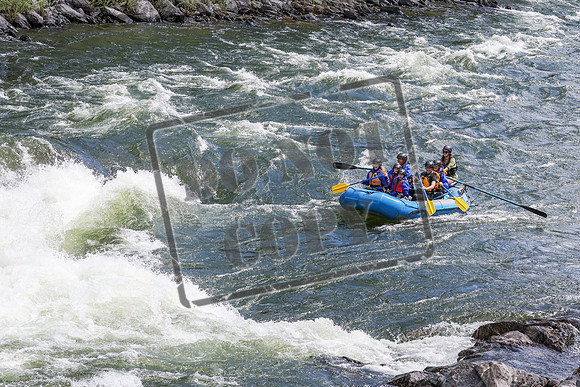20240703-IMG_3354