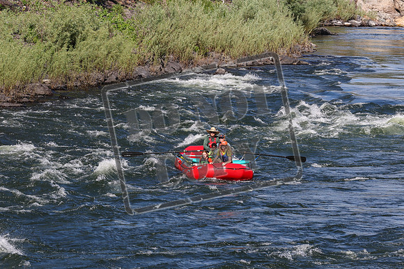 20240704-IMG_7471