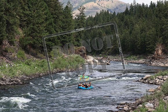 20220725-IMG_3613