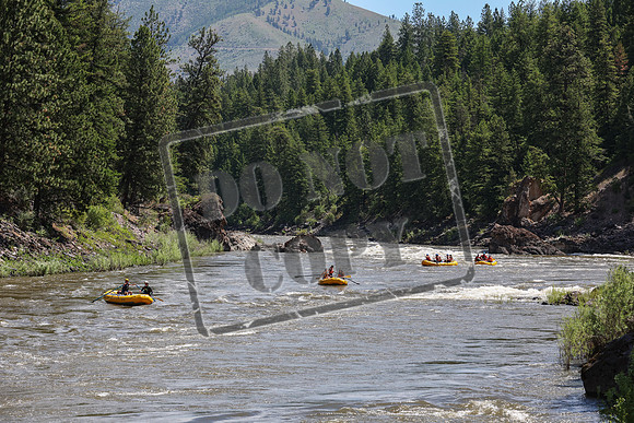 20240609-IMG_7412