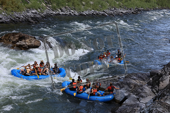 20190803-IMG_1246