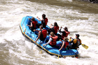 Zoo Town Surfers