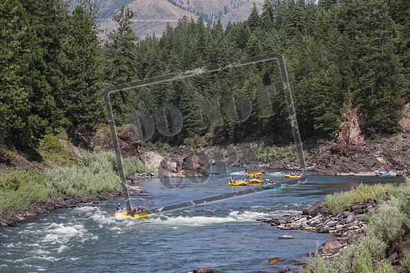 20240714-IMG_3040