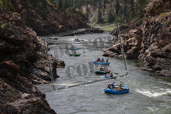 20240714-IMG_1893