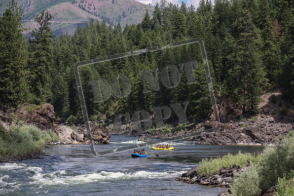 20240705-IMG_9441