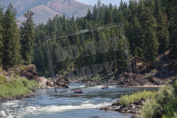 20240710-IMG_0320