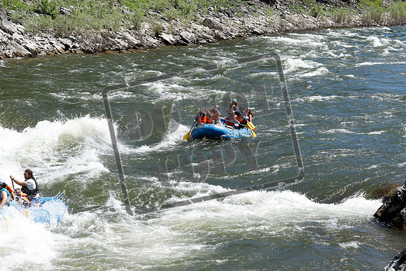 20200716-_MG_8328