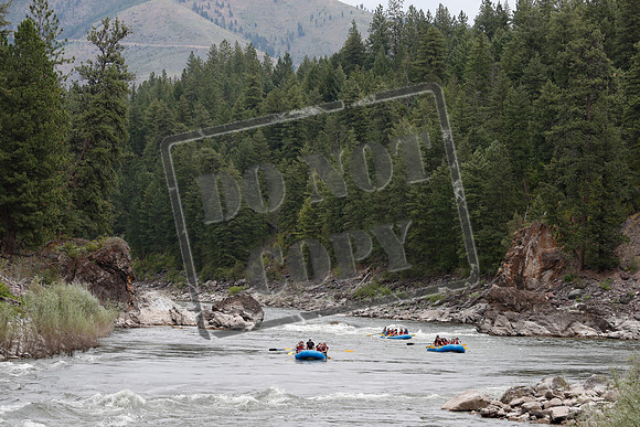 20200717-_MG_0118