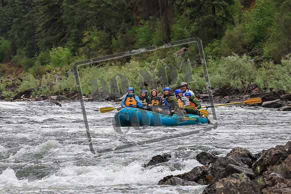 20250715-IMG_7725