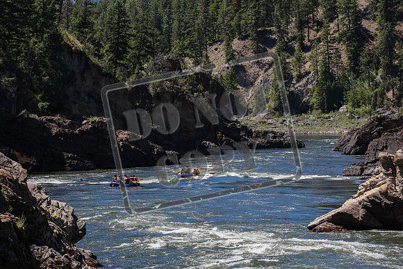 20240625-IMG_0627