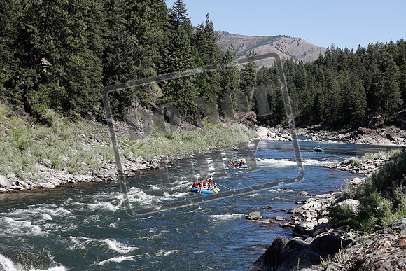 20200811-_MG_2424