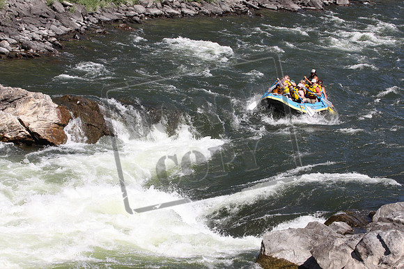 IMG_7084