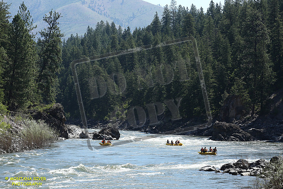 20180710-IMG_6115