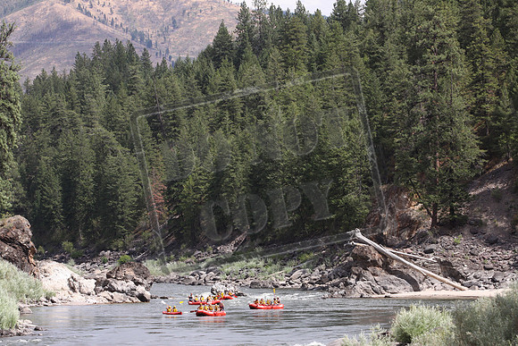 392