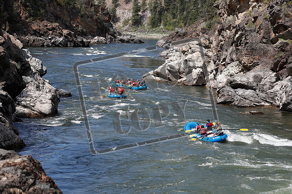 20200728-_MG_8454